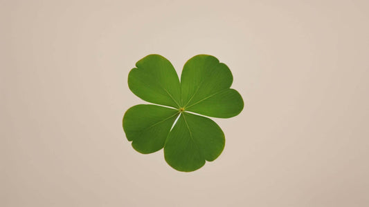 Unraveling the Mystery and Magic of Four-Leaf Clovers